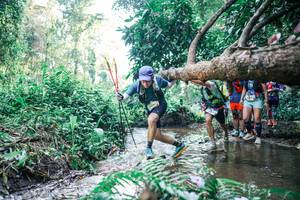 BIB: 
                            <button type="button" onclick="openModal(25450108)" class="btn btn-primary btn-sm float-right btn-popup" data-toggle="modal" data-target=".modal-high-quality">
                        <i class="fas fa-shopping-cart"></i> Add to Cart
                    </button>
                                            <button type="button" onclick="isThisMe(25450108, true)" class="btn btn-success btn-sm float-right btn-popup btn-isme hidden" data-toggle="tooltip" data-placement="bottom" title="นี่คือรูปของคุณใช่ไหม คลิกที่นี่เพื่อเอาเข้าอัลบั้ม">
                        <i class="fas fa-plus"></i> Add to album
                    </button>
                    <button type="button" onclick="isThisMe(25450108, false)" class="btn btn-warning btn-sm float-right btn-popup btn-isnotme hidden">
                        <i class="fas fa-ban"></i> Remove from album
                    </button>